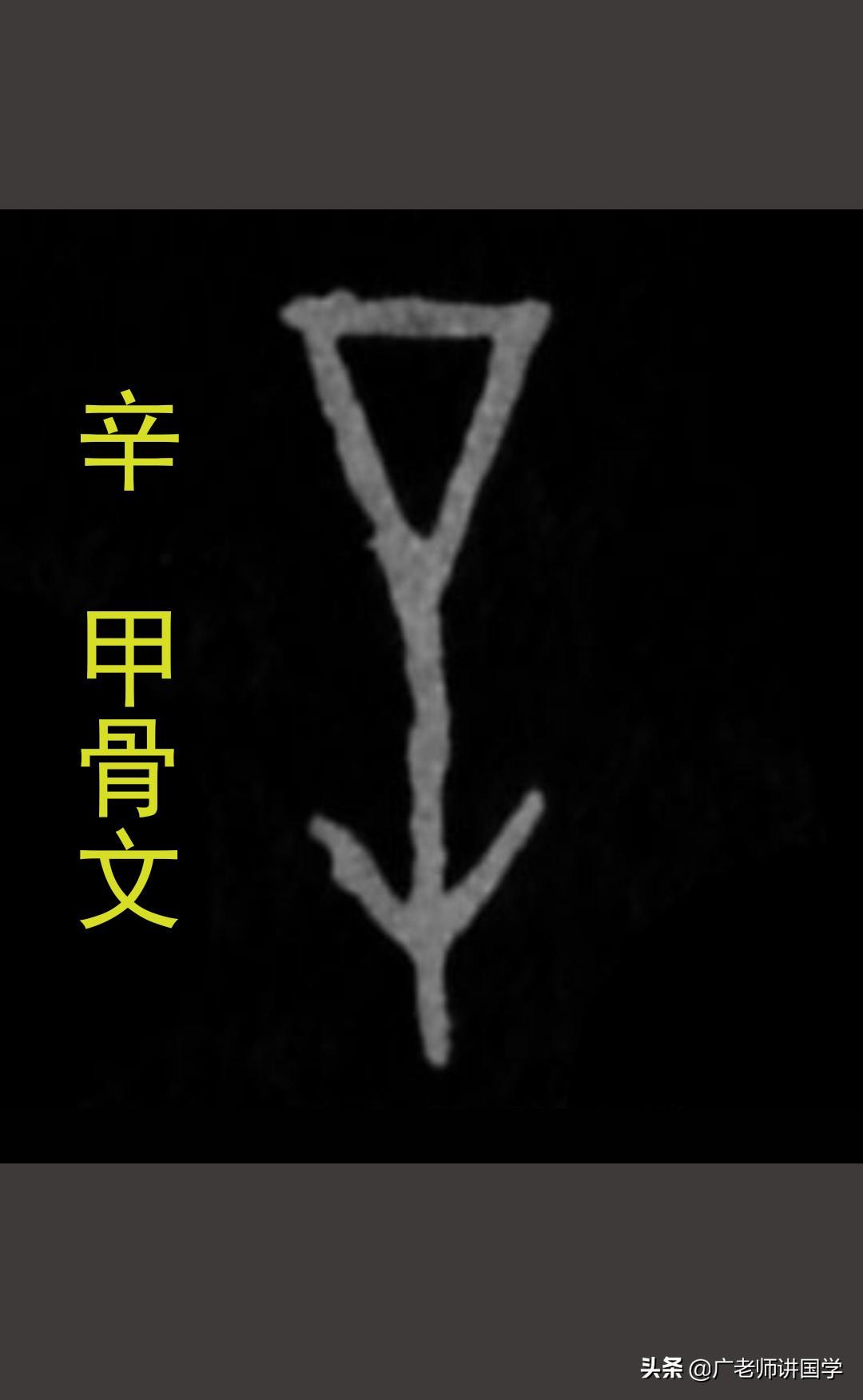 莘字白话读音什么_莘字什么意思_带莘字