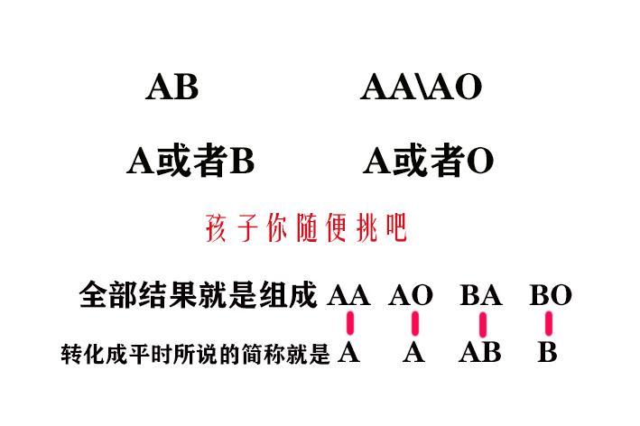 血型的遗传规律大揭秘，来看看你身边有没有戴绿帽子的