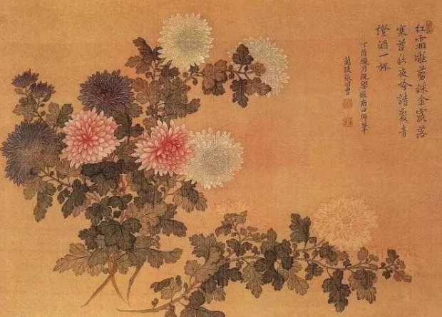 重阳节有的风俗_重阳节有什么风俗_重阳节哪些风俗