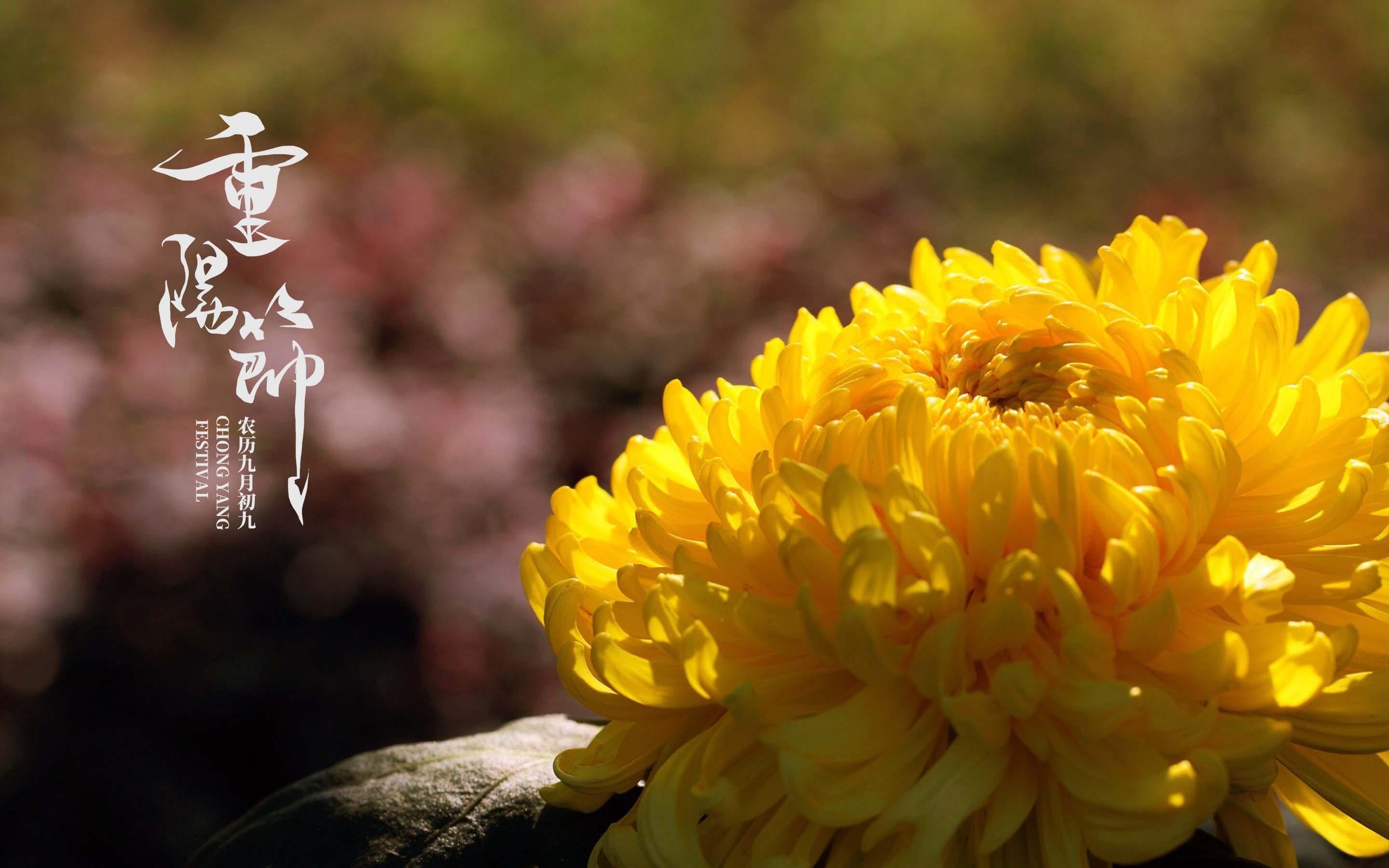 重阳节有的风俗_重阳节有什么风俗_重阳节哪些风俗