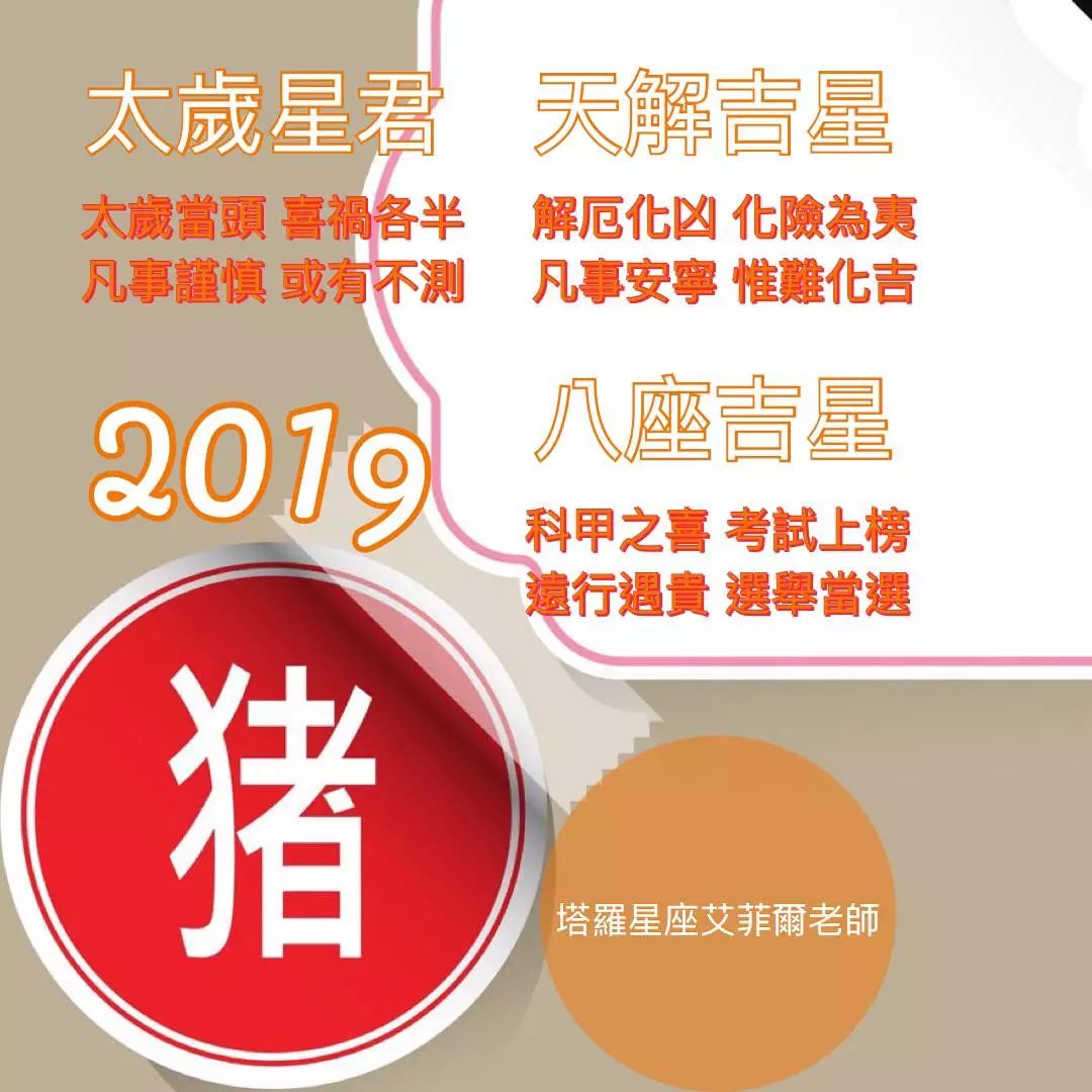 2019生肖_生肖2019属什么_生肖2019年是什么年