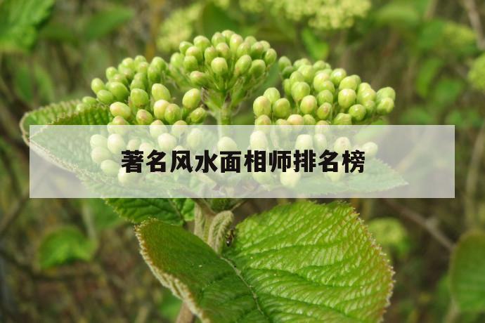 著名风水面相师排名榜