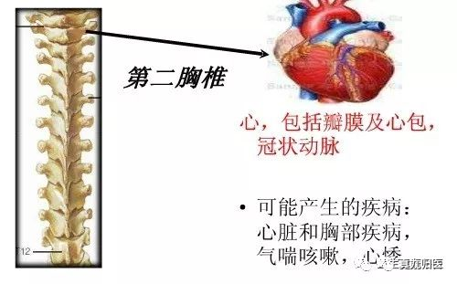 手掌对应内脏_手掌内脏对应图_手掌内脏对应图女