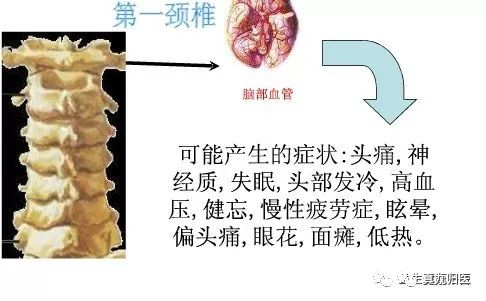 手掌对应内脏_手掌内脏对应图女_手掌内脏对应图