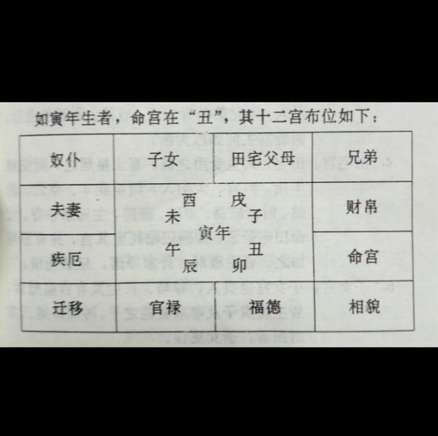 命理_悟道命理_八字命理