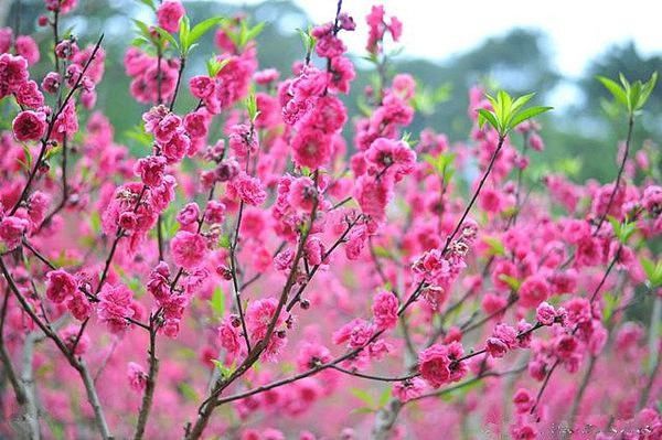 风水秘术_十六字阴阳风水秘术_十六字阴阳风水秘术txt