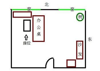 办公室风水中植物摆放建议