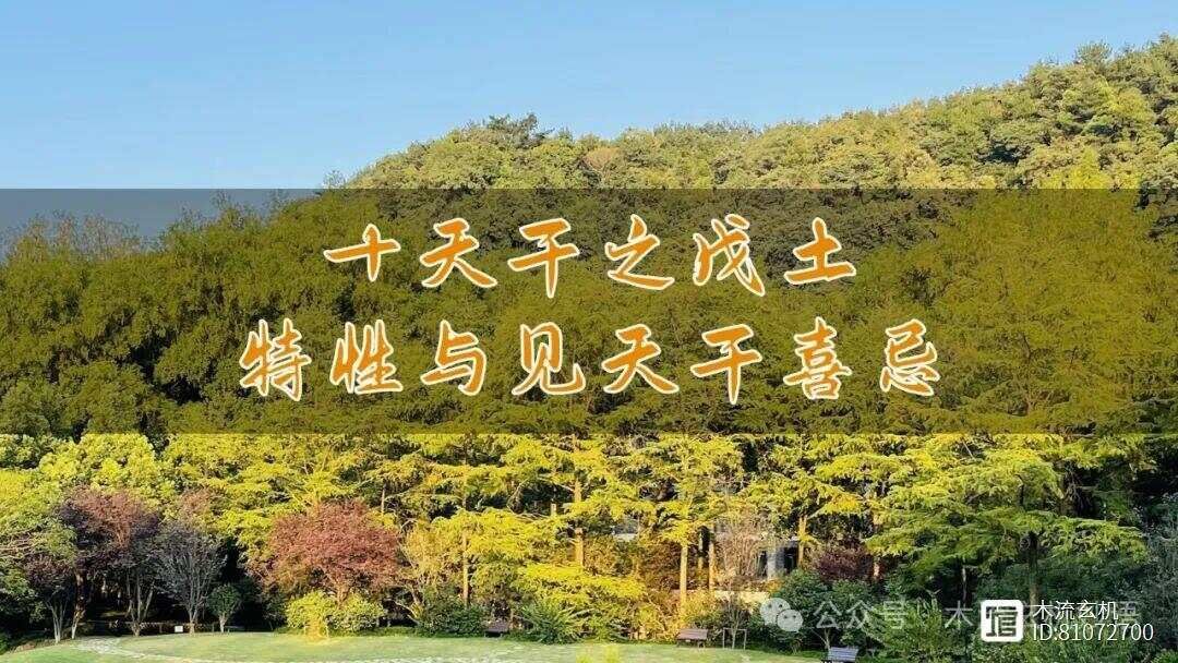 十天干气数喜忌之戊土篇__十天干喜忌之戊土