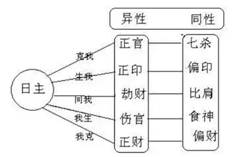 八字十神基础