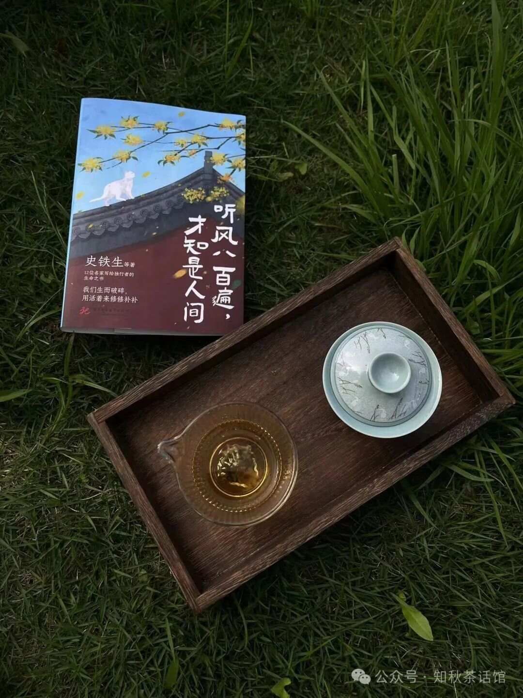 爱喝茶，爱自己，爱生活